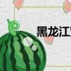 黑龍江寬帶電視（黑龍江寬帶）