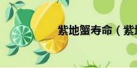 紫地蟹壽命(紫地蟹)