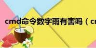 cmd命令數(shù)字雨有害嗎(cmd數(shù)字雨代碼)