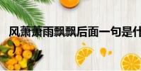 風(fēng)蕭蕭雨飄飄后面一句是什么(風(fēng)蕭蕭雨飄飄)