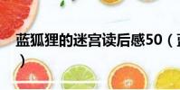 藍(lán)狐貍的迷宮讀后感50(藍(lán)狐貍50字讀后感)