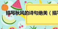 描寫(xiě)秋風(fēng)的詩(shī)句絕美(描寫(xiě)秋風(fēng)的詩(shī)句)