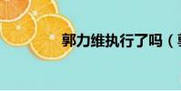 郭力維執(zhí)行了嗎(郭力維)