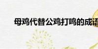 母雞代替公雞打鳴的成語(yǔ)(鳴的成語(yǔ))