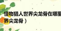 怪物獵人世界尖龍骨在哪里獲得(怪物獵人世界尖龍骨)