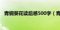 青銅葵花讀后感500字(青銅葵花讀后感)
