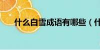 什么白雪成語有哪些(什么白雪成語)