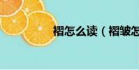 褶怎么讀(褶皺怎么讀)