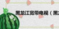 黑龍江寬帶電視(黑龍江寬帶)