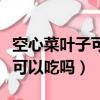 空心菜葉子可以吃嗎什么時(shí)候種（空心菜葉子可以吃嗎）
