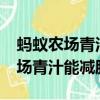 螞蟻農(nóng)場(chǎng)青汁能減肥嗎?什么時(shí)候喝（螞蟻農(nóng)場(chǎng)青汁能減肥嗎）