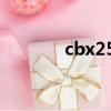 cbx250摩托圖片（cbx250）
