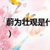 蔚為壯觀是什么意思呢（蔚為壯觀是什么意思）
