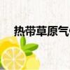 熱帶草原氣候典型地區(qū)（熱帶草原氣候）