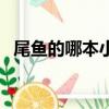 尾魚的哪本小說最好看（尾魚哪本書好看）