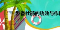 烈香杜鵑的功效與作用(烈香)