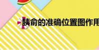 胰俞的準(zhǔn)確位置圖作用(胰俞穴)