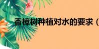 香樟樹(shù)種植對(duì)水的要求(香樟樹(shù)種植)