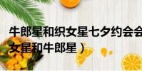 牛郎星和織女星七夕約會會成功嗎(七夕時織女星和牛郎星)