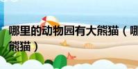 哪里的動(dòng)物園有大熊貓(哪個(gè)地方的動(dòng)物園有熊貓)