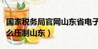 國家稅務(wù)局官網(wǎng)山東省電子稅務(wù)局(國家為什么壓制山東)