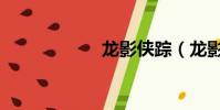 龍影俠蹤(龍影俠)