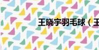 王曉宇羽毛球(王曉宇)