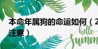本命年屬狗的命運(yùn)如何(2018年屬狗本命年注意)