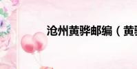 滄州黃驊郵編(黃驊郵編)