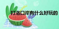 打洛口岸有什么好玩的(打洛口岸)
