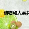 動(dòng)物和人類共同生活在地球上（動(dòng)物和人）