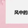 風(fēng)中的玫瑰歌詞（風(fēng)中的玫瑰）