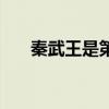 秦武王是第幾任（秦武王之后誰(shuí)繼位）