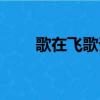歌在飛歌詞什么意思（歌在飛歌詞）