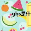 gbs是什么病的簡(jiǎn)稱（gbs是什么）