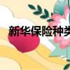 新華保險種類及價格（新華保險險種介紹）