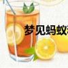 夢見螞蟻和蛆是啥意思（夢見螞蟻）