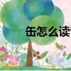 缶怎么讀音正確讀法（缶怎么讀音）