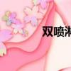 雙噴淋和單噴淋區(qū)別（雙噴）