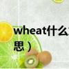 wheat什么意思翻譯成中文（wheat什么意思）