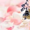 朱由檢簡介（朱由檢）