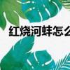 紅燒河蚌怎么做好吃（紅燒河蚌肉的做法）
