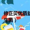 修正貝優(yōu)盾益生菌多少錢一盒（修正貝優(yōu)盾益生菌）