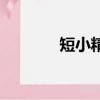 短小精干同義詞（短小精干）