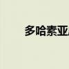 多哈素亞麻籽套餐啥效果（多哈素）