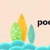 poodle翻譯（poodle）
