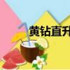 黃鉆直升v10鏈接（黃鉆直升lv8）