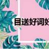 目送好詞好句讀后感（目送好詞好句）