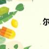 爾爾星海txt（爾爾）