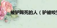 被驢踢死的人(驢被咬受驚踢奧迪)